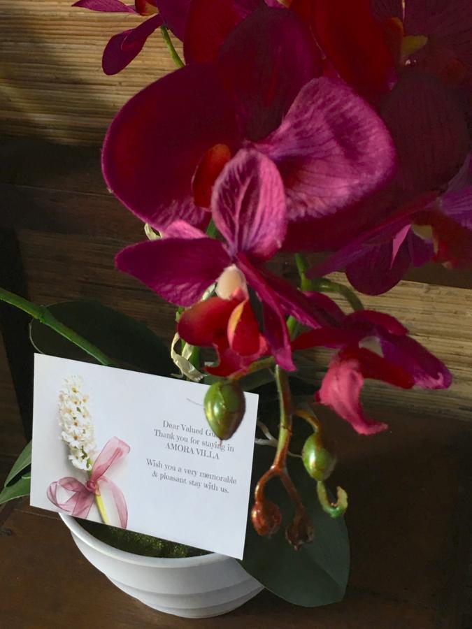 Amora Villa Gili Trawangan Exteriör bild
