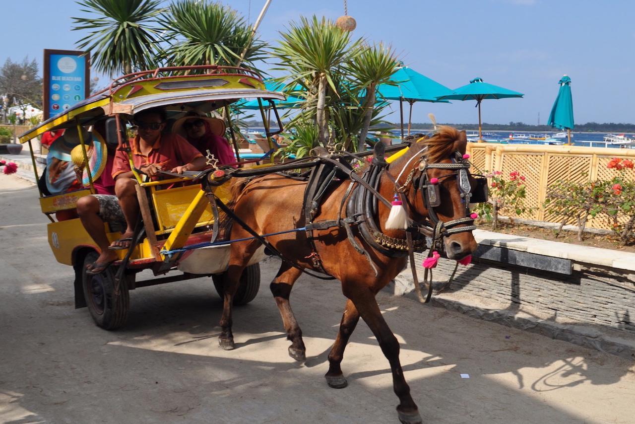 Amora Villa Gili Trawangan Exteriör bild
