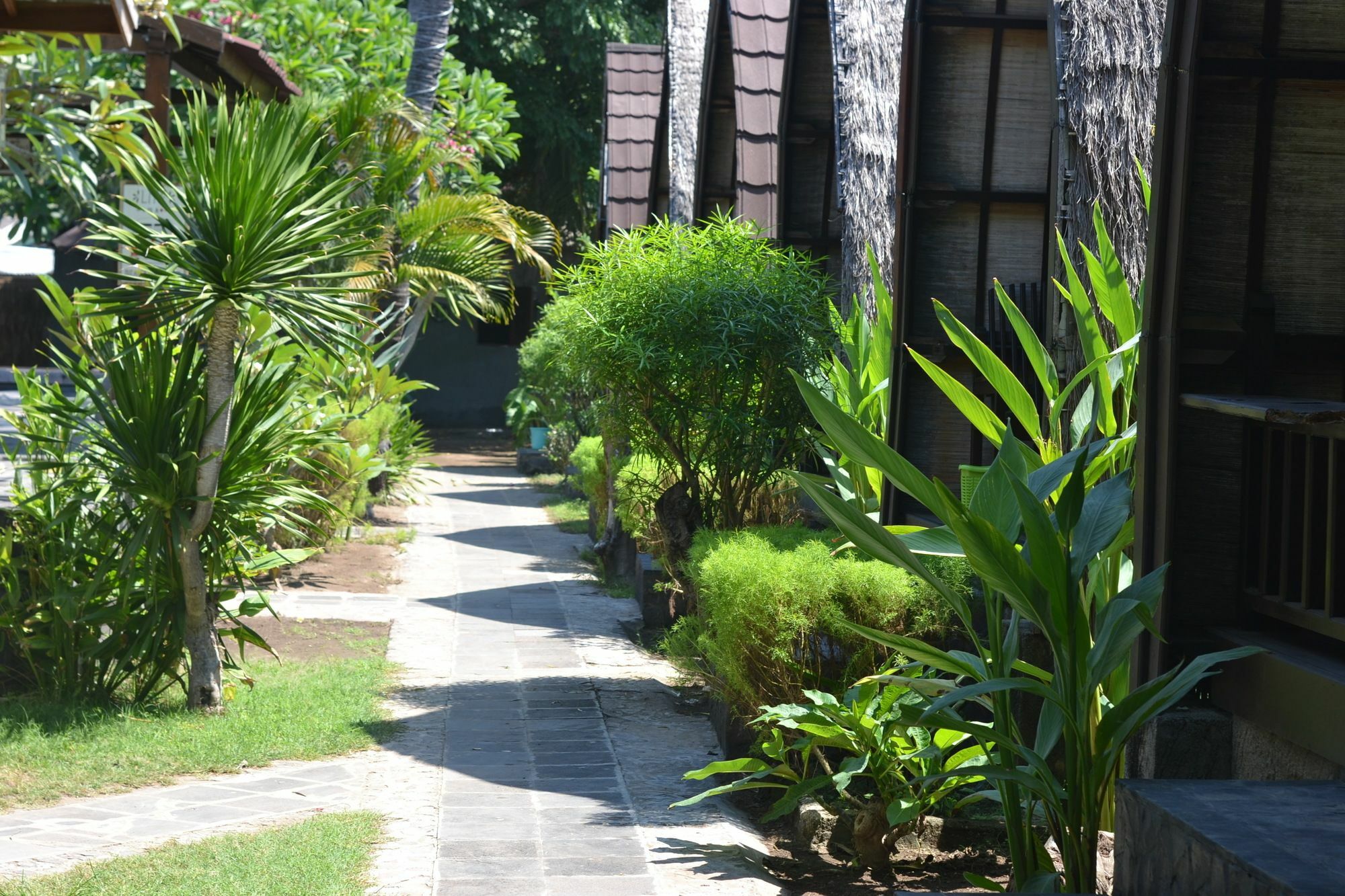 Amora Villa Gili Trawangan Exteriör bild
